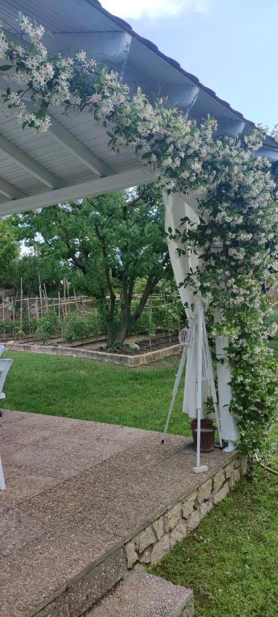 Appartamento Maria's Luxury Kassandra