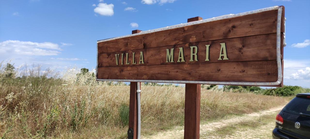 Appartamento Maria's Luxury *